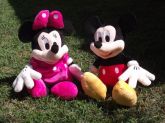 Mickey e Minnie